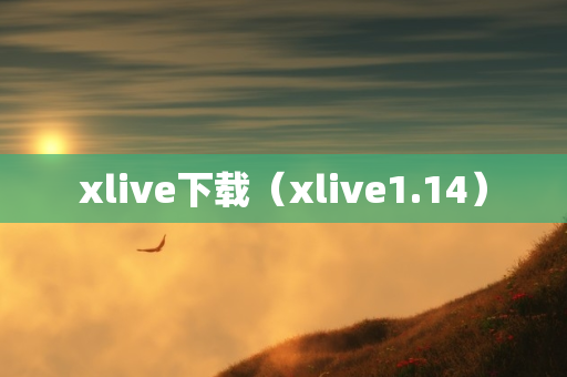 xlive下载（xlive1.14）