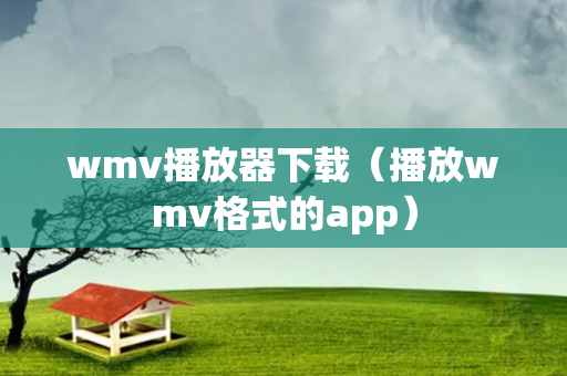 wmv播放器下载（播放wmv格式的app）