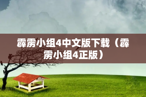 霹雳小组4中文版下载（霹雳小组4正版）