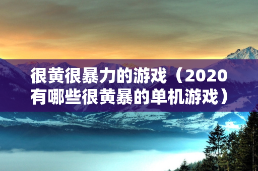 很黄很暴力的游戏（2020有哪些很黄暴的单机游戏）