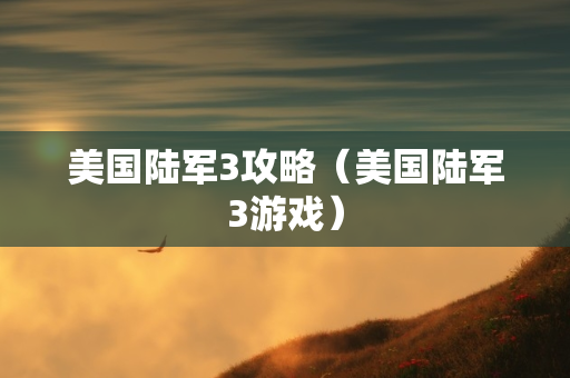 美国陆军3攻略（美国陆军3游戏）