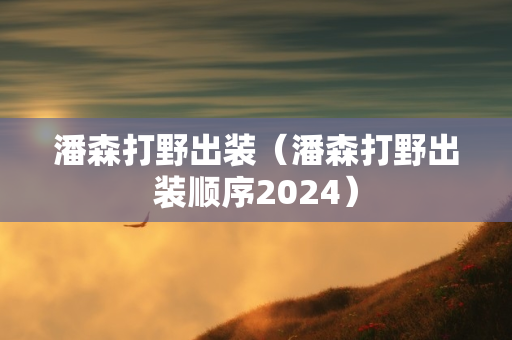 潘森打野出装（潘森打野出装顺序2024）