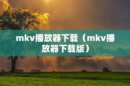 mkv播放器下载（mkv播放器下载版）