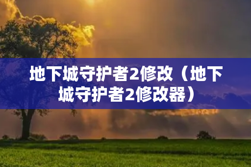 地下城守护者2修改（地下城守护者2修改器）