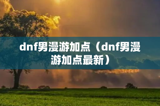 dnf男漫游加点（dnf男漫游加点最新）