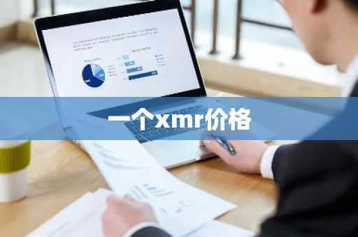 一个xmr价格