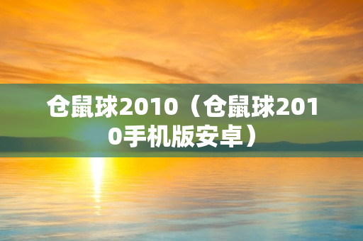 仓鼠球2010（仓鼠球2010手机版安卓）