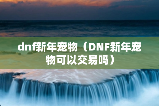 dnf新年宠物（DNF新年宠物可以交易吗）