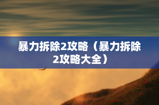 暴力拆除2攻略（暴力拆除2攻略大全）