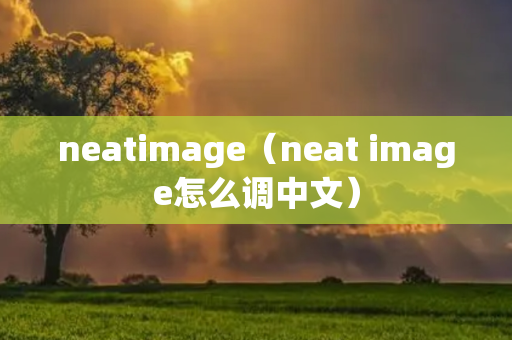 neatimage（neat image怎么调中文）