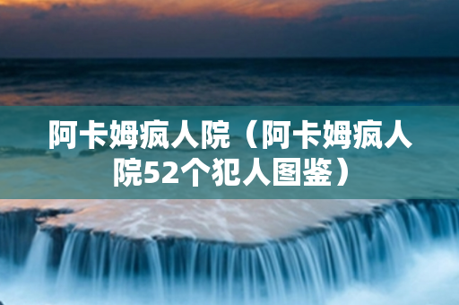 阿卡姆疯人院（阿卡姆疯人院52个犯人图鉴）