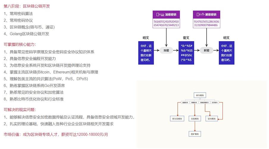 区块链什么语言