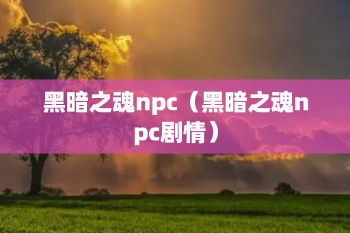 黑暗之魂npc（黑暗之魂npc剧情）