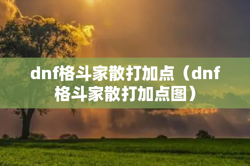 dnf格斗家散打加点（dnf格斗家散打加点图）