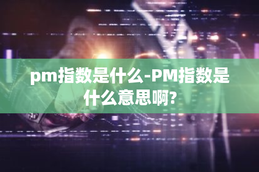 pm指数是什么-PM指数是什么意思啊?