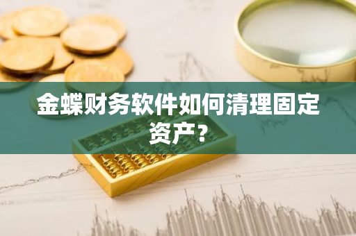 金蝶财务软件如何清理固定资产？