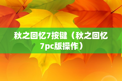 秋之回忆7按键（秋之回忆7pc版操作）