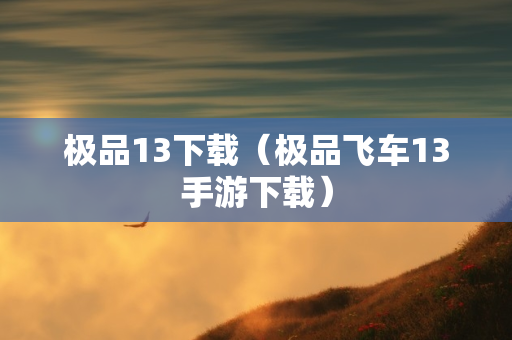 极品13下载（极品飞车13手游下载）