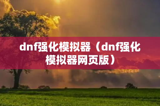 dnf强化模拟器（dnf强化模拟器网页版）