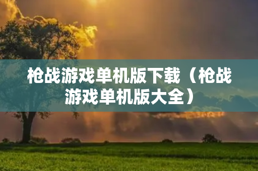 枪战游戏单机版下载（枪战游戏单机版大全）