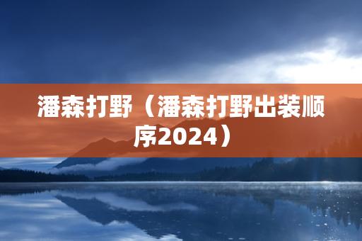 潘森打野（潘森打野出装顺序2024）