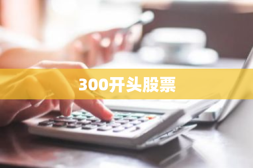 300开头股票