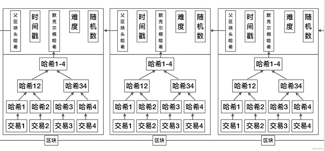 区块链的节点是什么