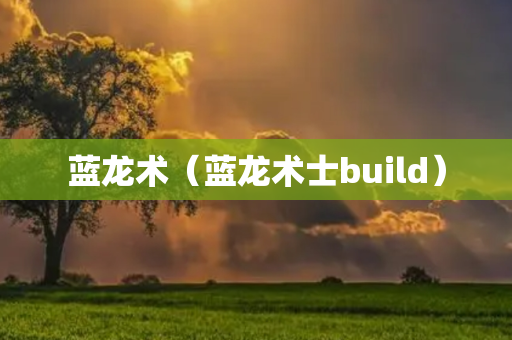 蓝龙术（蓝龙术士build）