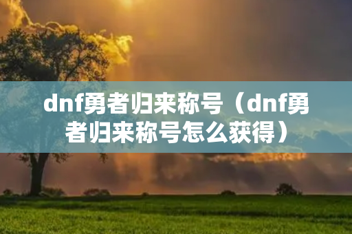 dnf勇者归来称号（dnf勇者归来称号怎么获得）