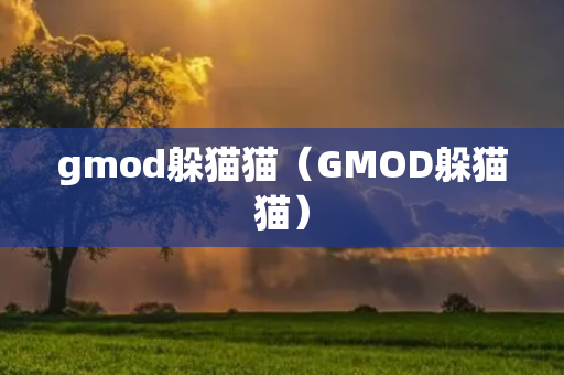 gmod躲猫猫（GMOD躲猫猫）