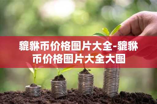 貔貅币价格图片大全-貔貅币价格图片大全大图