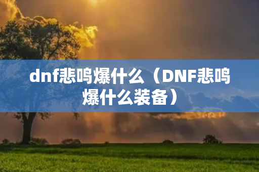 dnf悲鸣爆什么（DNF悲鸣爆什么装备）