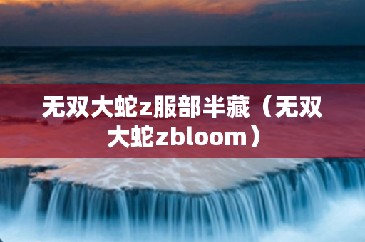 无双大蛇z服部半藏（无双大蛇zbloom）