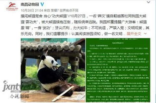 动物园通报男子向大熊猫扔可乐事件_重庆动物园：男子朝大熊猫扔可乐，已被公安机关行政处罚