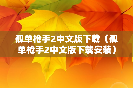 孤单枪手2中文版下载（孤单枪手2中文版下载安装）