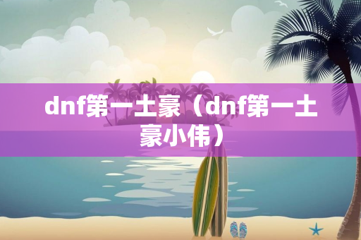 dnf第一土豪（dnf第一土豪小伟）