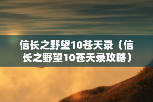 信长之野望10苍天录（信长之野望10苍天录攻略）