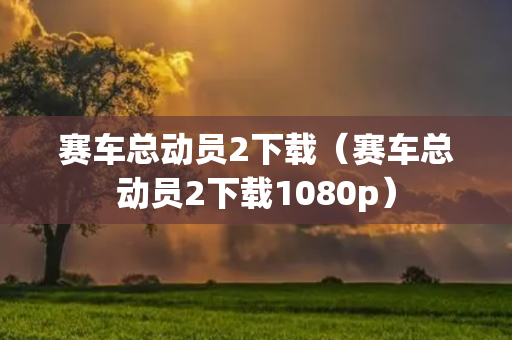 赛车总动员2下载（赛车总动员2下载1080p）