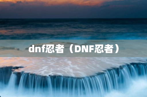 dnf忍者（DNF忍者）