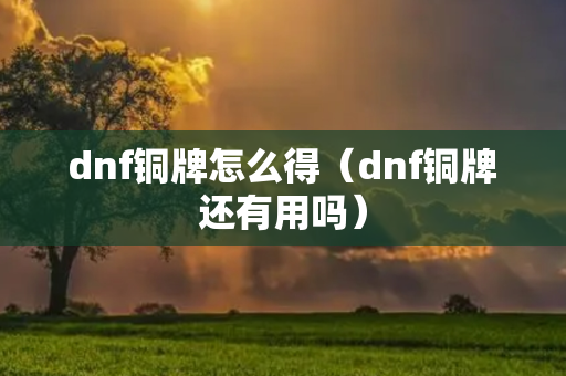 dnf铜牌怎么得（dnf铜牌还有用吗）