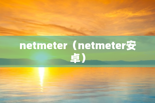 netmeter（netmeter安卓）