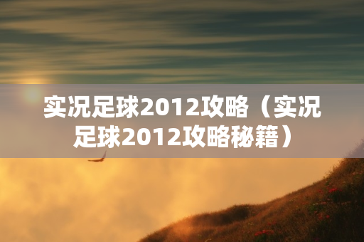 实况足球2012攻略（实况足球2012攻略秘籍）