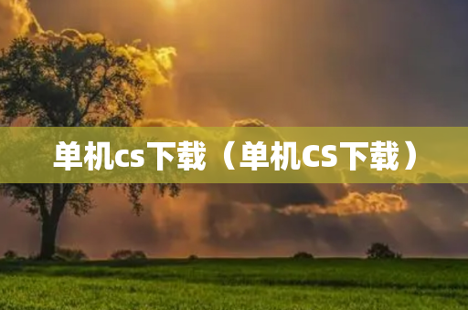 单机cs下载（单机CS下载）