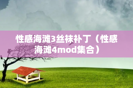 性感海滩3丝袜补丁（性感海滩4mod集合）