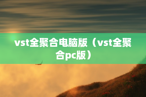 vst全聚合电脑版（vst全聚合pc版）