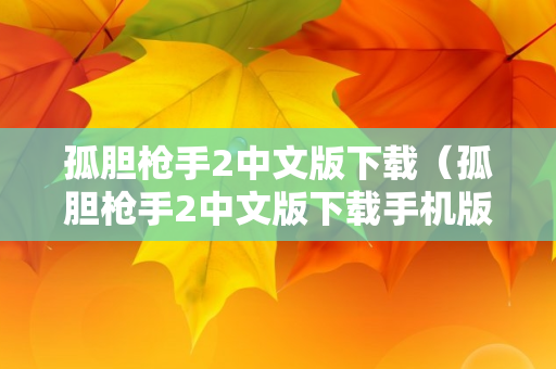 孤胆枪手2中文版下载（孤胆枪手2中文版下载手机版）