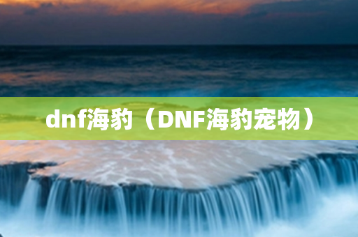 dnf海豹（DNF海豹宠物）