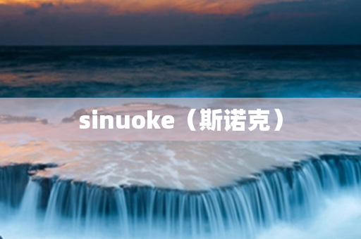 sinuoke（斯诺克）