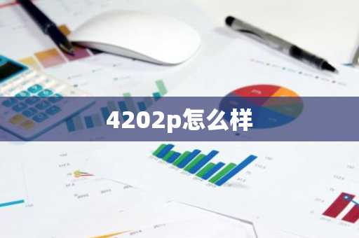 4202p怎么样