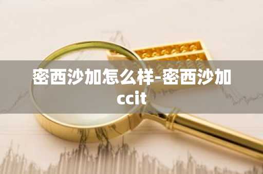 密西沙加怎么样-密西沙加ccit